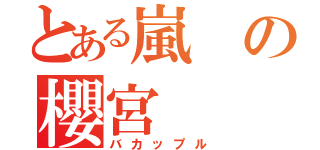 とある嵐の櫻宮（バカップル）