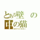 とある壁の中の猫（鳴き声がするので壁を崩した）