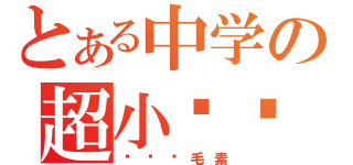 とある中学の超小鸡鸡（杨雯鸡毛素）