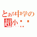 とある中学の超小鸡鸡（杨雯鸡毛素）