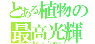 とある植物の最高光輝（Ｓｏｎｇ ｆｒａｍｅ）