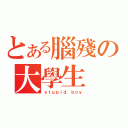 とある腦殘の大學生（ｓｔｕｐｉｄ ｂｏｙ）