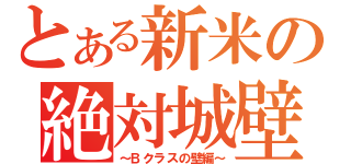 とある新米の絶対城壁（～Ｂクラスの壁編～）