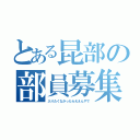 とある昆部の部員募集（入りたくなかったらええんやで）