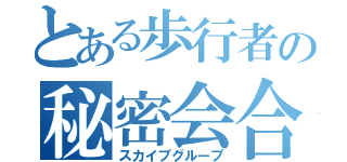 とある歩行者の秘密会合（スカイプグループ）