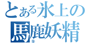 とある氷上の馬鹿妖精（⑨）