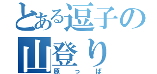 とある逗子の山登り（原っぱ）