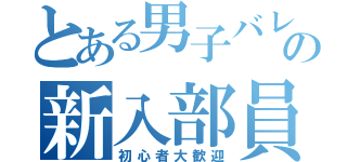 とある男子バレー部の新入部員大募集（初心者大歓迎）