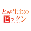 とある生主のビックン放送（ｖｉｃｔｅｒ）