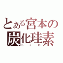 とある宮本の炭化珪素（ＳｉＣ）