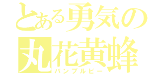 とある勇気の丸花黄蜂（バンブルビー）