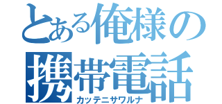 とある俺様の携帯電話（カッテニサワルナ）