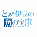 とある伊豆の魚の宝庫（マクロ天国）