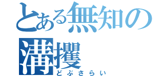 とある無知の溝攫（どぶさらい）