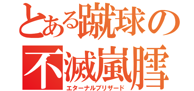 とある蹴球の不滅嵐膤（エターナルブリザード）