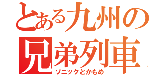 とある九州の兄弟列車（ソニックとかもめ）