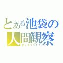 とある池袋の人間観察（デュラララ！！）