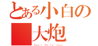 とある小白の氣大炮（Ｓｍａｌｌ Ｗｈｉｔｅ'ｓＧｕｎ）