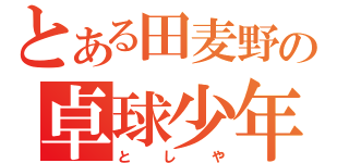 とある田麦野の卓球少年（としや）