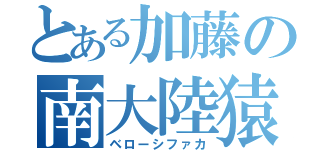 とある加藤の南大陸猿（ベローシファカ）