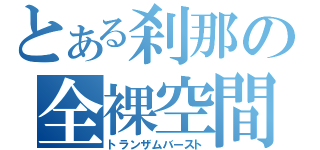 とある刹那の全裸空間（トランザムバースト）