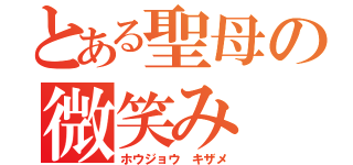 とある聖母の微笑み（ホウジョウ キザメ）