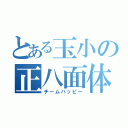 とある玉小の正八面体（チームハッピー）