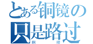 とある铜镜の只是路过（啊喂）