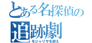 とある名探偵の追跡劇（モジャリザを終え）