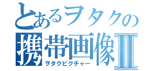 とあるヲタクの携帯画像Ⅱ（ヲタクピクチャー）