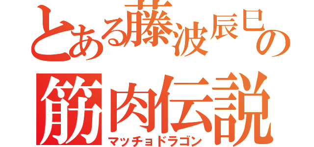 とある藤波辰巳の筋肉伝説龍（マッチョドラゴン）