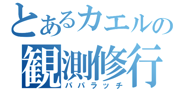 とあるカエルの観測修行（パパラッチ）