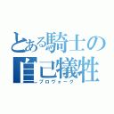 とある騎士の自己犠牲（プロヴォーグ）