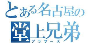 とある名古屋の堂上兄弟（ブラザーズ）