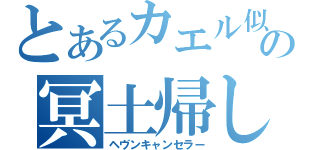 とあるカエル似の冥土帰し（ヘヴンキャンセラー）