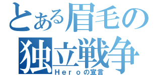 とある眉毛の独立戦争（Ｈｅｒｏの宣言）