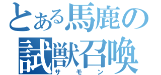 とある馬鹿の試獣召喚（サモン）