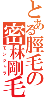 とある脛毛の密林剛毛（モンジャラ）