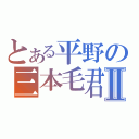 とある平野の三本毛君Ⅱ（）