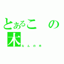 とあるこの木（なんの木）