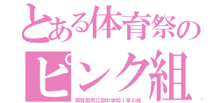 とある体育祭のピンク組（南野田市立部中学校１年６組）