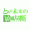 とある未来の暴風切断（カマイタチ）