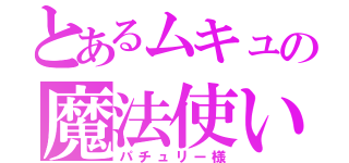 とあるムキュの魔法使い（パチュリー様）