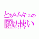 とあるムキュの魔法使い（パチュリー様）