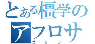 とある橿学のアフロサッカー（ゴリラ）