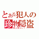 とある犯人の珍物隠盗（車上荒らし？）