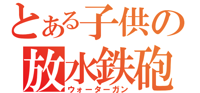 とある子供の放水鉄砲（ウォーターガン）