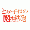 とある子供の放水鉄砲（ウォーターガン）