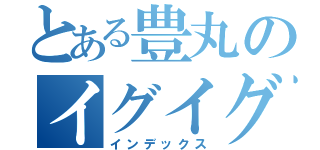 とある豊丸のイグイグ（インデックス）