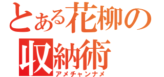 とある花柳の収納術（アメチャンナメ）